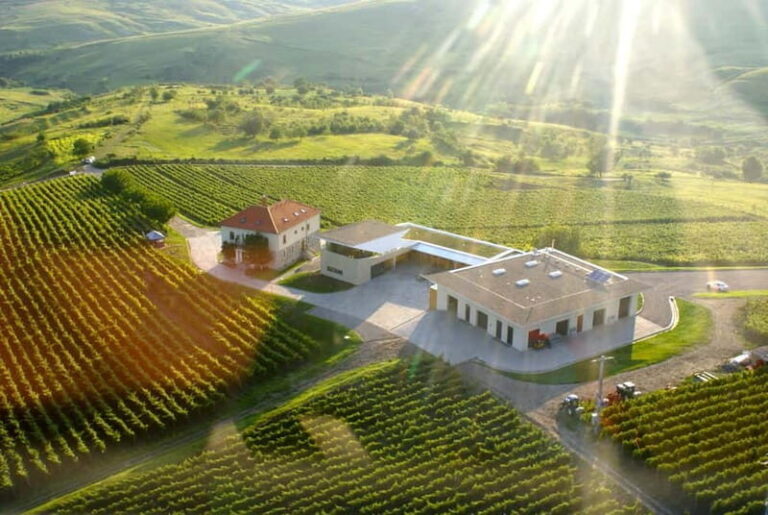 Bucharest: Taste the Magic of Wine in Romanias Tuscany - What We Loved About This Tour