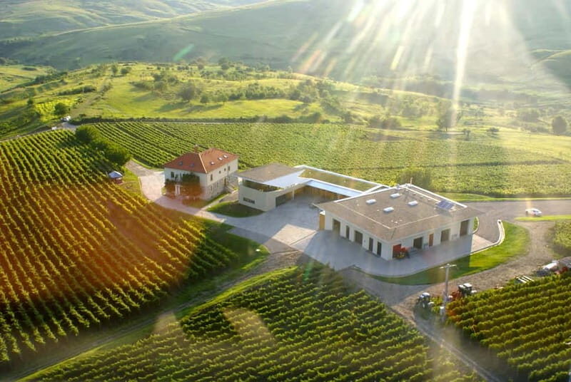 Bucharest: Taste the Magic of Wine in Romanias Tuscany - What We Loved About This Tour