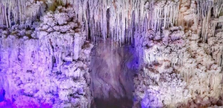 Bucharest: The Biggest Salt Mine in Europe & Wine Tasting - The Dealu Mare Wine Experience