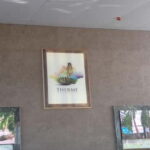 Bucharest: Therme Elysium 4.5hours Tickets+Transfer included - Key Points