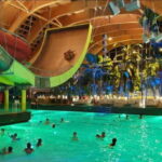 Bucharest: Therme Entry Ticket and Transfer - Who Will Love This Experience?