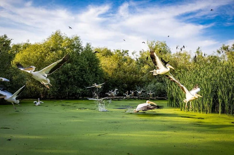 Bucharest: Tour to Danube Delta 2-Days With Boat Tour - Who Should Consider This Tour?