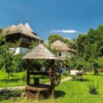 Bucharest: Village Museum, Ceauescu Mansion & Parliament - Exploring the Itinerary in Detail