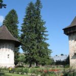 Bucovina Painted Monasteries Day Tour - Practical Details and Value