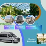 Bucuresti: Therme Bucharest Evening Entry Ticket & Transfer - Who Is This Tour Best For?