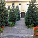 Budapest: 2.5-hour Hidden Sights Private Bike Tour - What’s Included and What to Consider