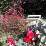 Budapest: Best Gardens Walking Tour & Hungarian Folk Music - Practical Details and What to Keep in Mind