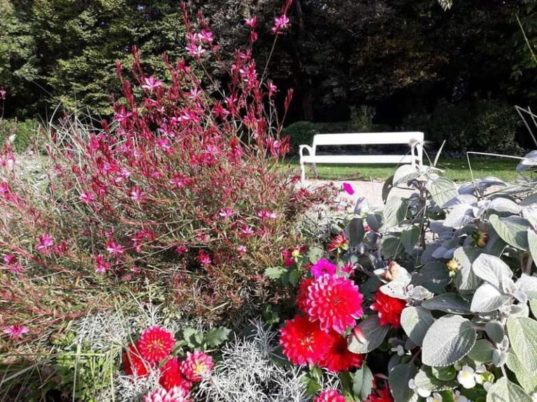 Budapest: Best Gardens Walking Tour & Hungarian Folk Music - Practical Details and What to Keep in Mind