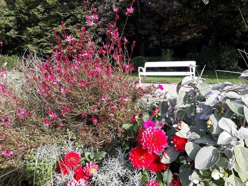 Budapest: Best Gardens Walking Tour & Hungarian Folk Music - Practical Details and What to Keep in Mind