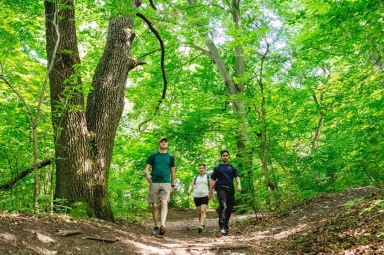 Budapest: Buda Hills Guided Hiking Tour with Optional Lunch - A Detailed Look at the Buda Hills Guided Hiking Tour