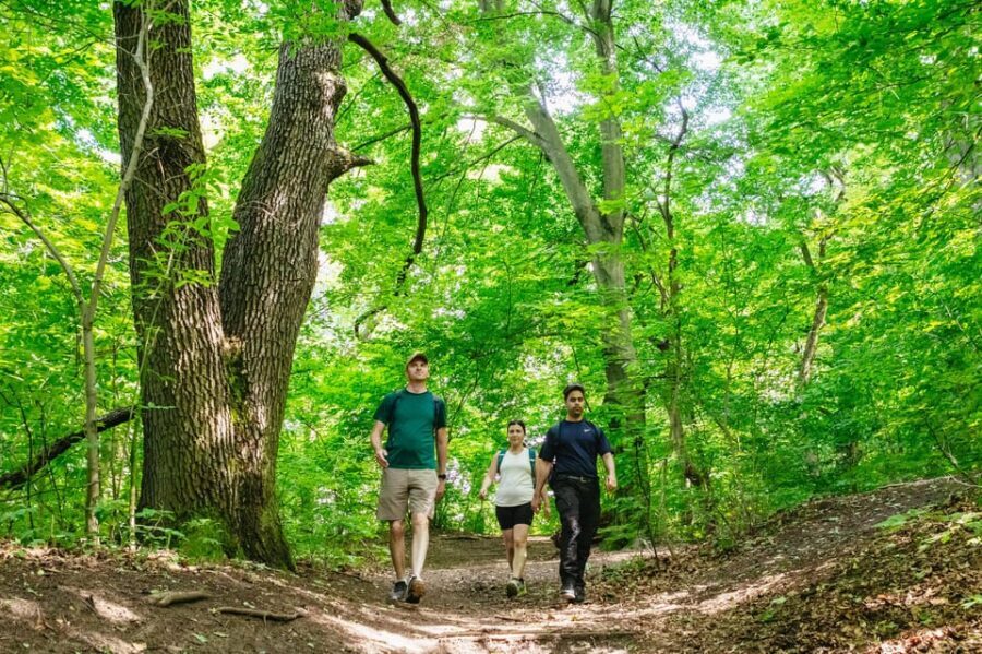 Budapest: Buda Hills Guided Hiking Tour with Optional Lunch - A Detailed Look at the Buda Hills Guided Hiking Tour