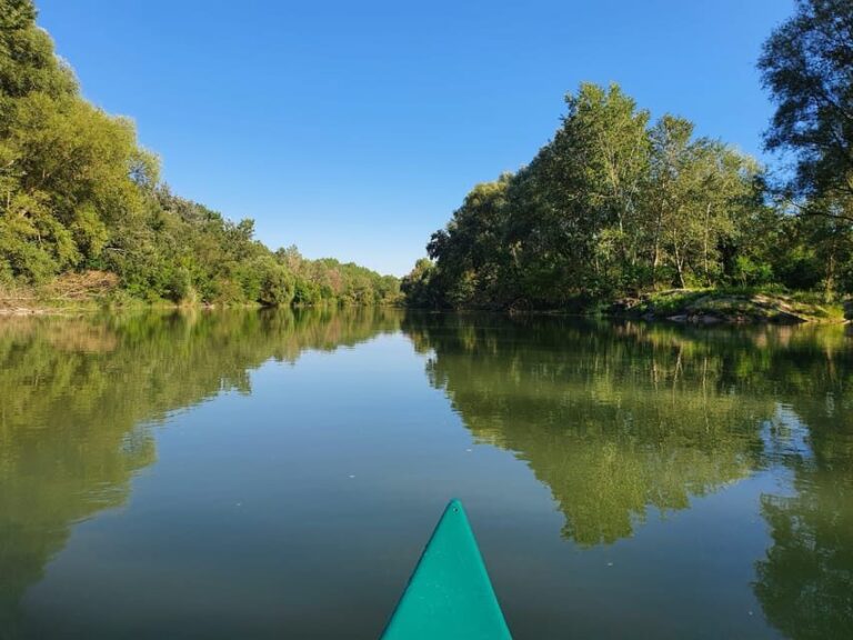 Budapest: Canoeing the Danube w or wo Sauna or Danube Beach - Why This Tour Works for Travelers