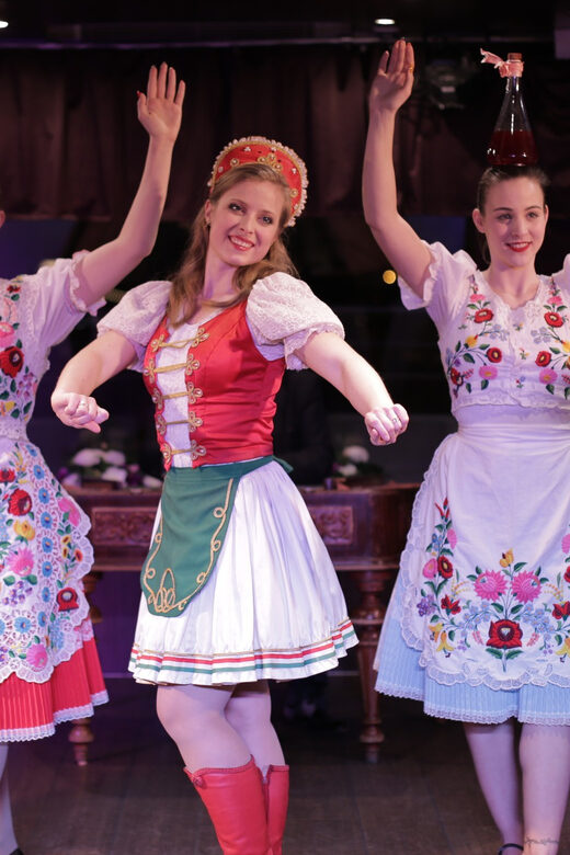 Budapest: Danube Cruise with Folk Dancing and Drinks - Who Will Love This Cruise?