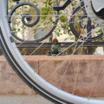 Budapest Hidden Gems Bike Tour: Mini Statues & Views - Who Will Love This Experience?