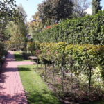 Budapest: Parliament & Its Surroundings Tour with Folk Music - Authentic Insights from Reviewers