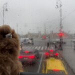 Budapest: Private 4-Hour City Tour by Car - Who Is This Tour Best For?