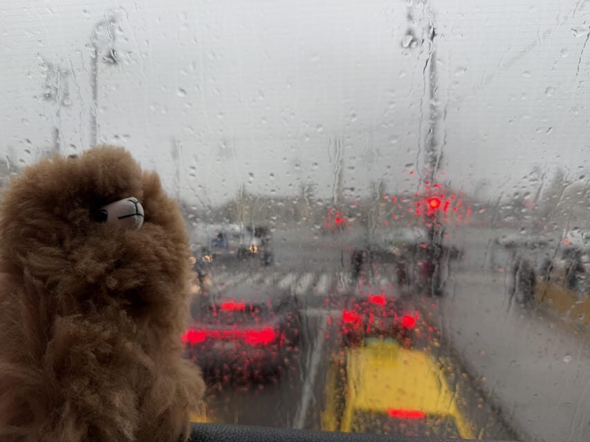 Budapest: Private 4-Hour City Tour by Car - Who Is This Tour Best For?