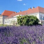 Budapest: private sightseeing tour by public transportation - A Detailed Look at the Itinerary