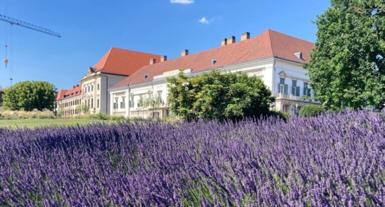 Budapest: private sightseeing tour by public transportation - A Detailed Look at the Itinerary