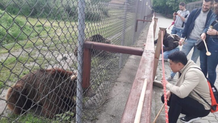 Budapest: Transport & Guided Tour of Bear and Wolf Sanctuary - What to Expect: Practical Details