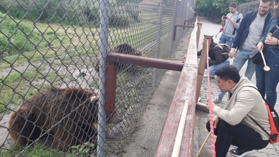Budapest: Transport & Guided Tour of Bear and Wolf Sanctuary - What to Expect: Practical Details