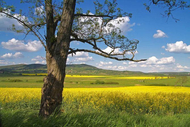 Budapest-Vienna One-Way Sightseeing Transfer - Transport, Timing, and Group Size