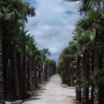 Buddha Eden Garden and Óbidos village in Portugal (70km of Lisbon) - FAQ