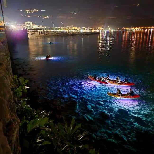 Budva: 2-Hour «Night Lights» Kayak Tour - Final Thoughts: Why Choose the Night Lights Kayak Tour?