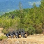 Buggy Adventure Kusadasi - What Reviewers Loved & Noticed