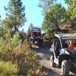 Buggy Family Experience - 60 to 120 minutes - Practical Details and Value
