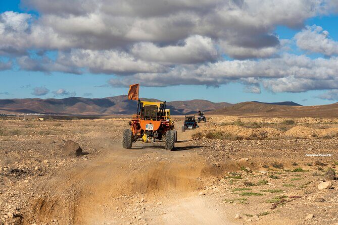 Buggy Safari in Caleta de Fuste - Who Will Love This Tour?