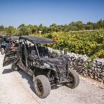 Buggy Safari With Wine Tasting - Exploring Hidden Beaches and Coastal Vistas
