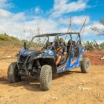 Buggy tour at Anfi beach - The Practical Side: Booking, Requirements, and Pricing