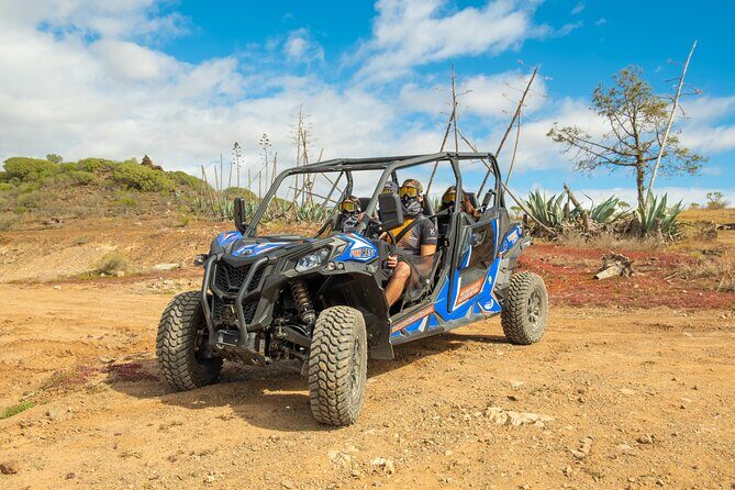 Buggy tour at Anfi beach - The Practical Side: Booking, Requirements, and Pricing