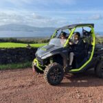 Buggy Tour through the Lagoas - Pricing and Value