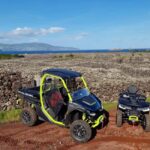 Buggy tour through the vineyards of Pico Island - Final Thoughts