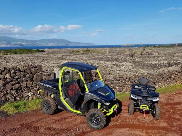Buggy tour through the vineyards of Pico Island - Final Thoughts
