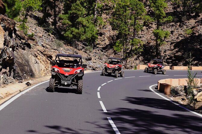 Buggy tour to Teide in Tenerife - The Sum Up
