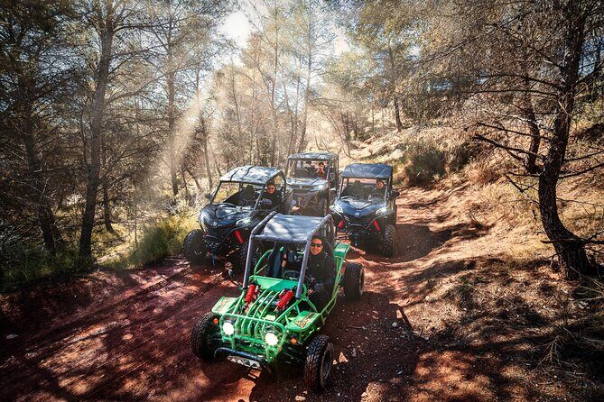Buggy Tours in Benidorm - The Bottom Line: Is It Worth It?