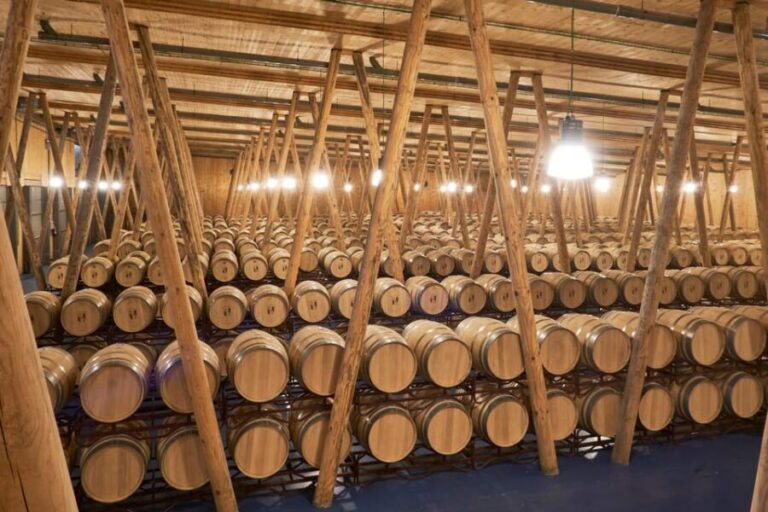 Burgos: Bela Winery - Villalba de Duero - The Sum Up