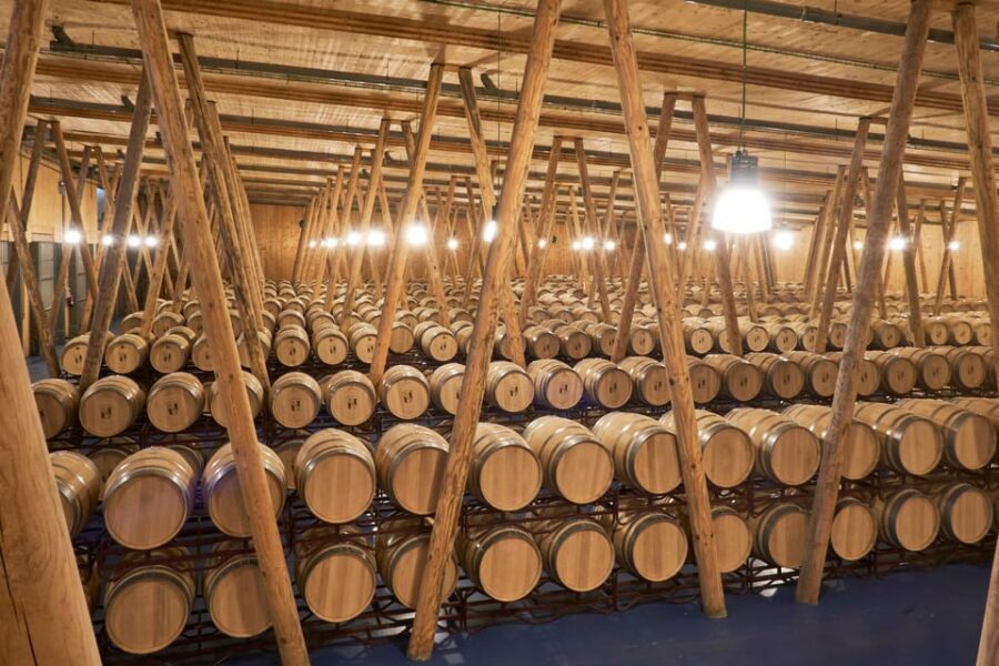 Burgos: Bela Winery - Villalba de Duero - The Sum Up