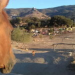 Burgos: visit to a farm with tasting - Final Thoughts: Why This Experience Offers Real Value