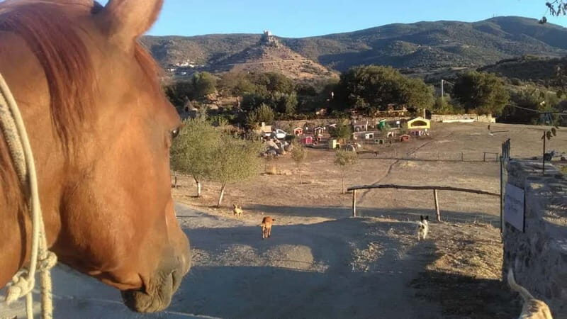 Burgos: visit to a farm with tasting - Final Thoughts: Why This Experience Offers Real Value