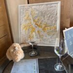 Burgundy Wine & Cheese Tasting Private Day Trip 15 glasses - What Makes This Tour Stand Out?