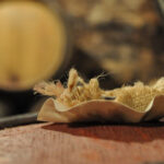 Burgundy Wines Full-Day Tasting Tour from Dijon - Who Should Consider This Tour?