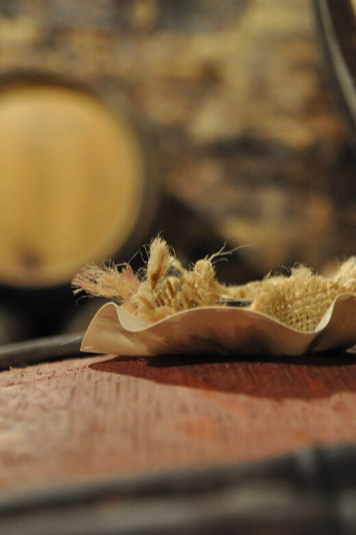 Burgundy Wines Full-Day Tasting Tour from Dijon - Who Should Consider This Tour?