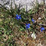 Burren Guided Electric Bike tour with Poulnabrone Portal Tomb - Who Would Love This Tour?