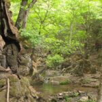 Butterflies Valley & Chalki from Rhodes - Practical Aspects and Considerations