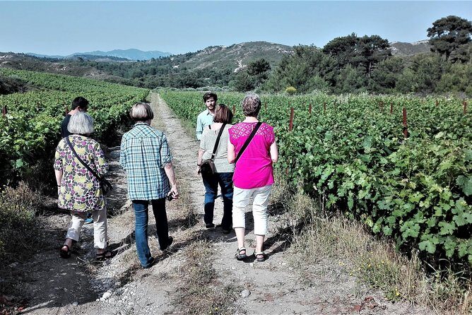 Butterflies Valley & Wine Tasting Experience Private Tour - A Detailed Look at the Tour Experience