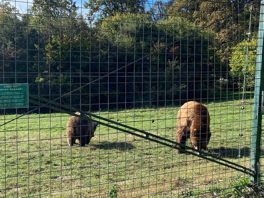 BV05-Private Hiking Tour and Bear Watching: Piatra Craiului - Who Would Love This Tour?